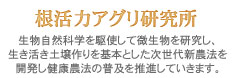 根活力アグリ研究所